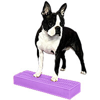 Flexiness StackingBar - Light Purple, Larger & Beginner Dogs